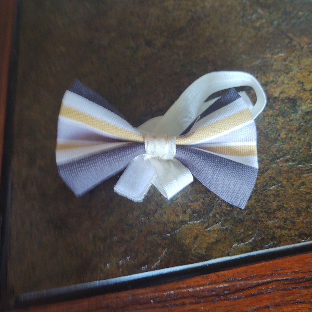 Man child pet bowtie